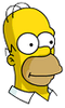 Homer Icon