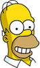 Homer Happy Icon