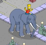 Stampy with Bart.