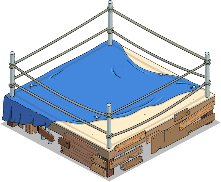 wrestling ring backyard