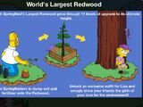 World's Largest Redwood