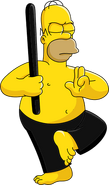 Ninja Homer