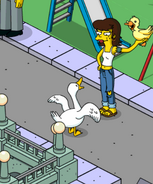 Shauna teasing ducks.