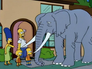 Stampy in the Show.
