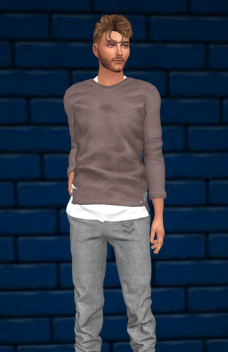 Noah Austin | Sims The Challenge Wiki | Fandom