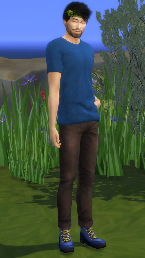 David Hutchins | Sims Survivor Wiki | Fandom