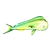 Mahi Mahi