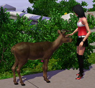 A Sim petting a deer