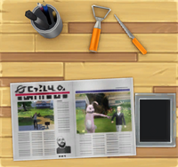 Social Bunny on Pumpkin Station.png
