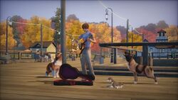 The Sims 3: Pets (console) | The Sims Wiki | Fandom