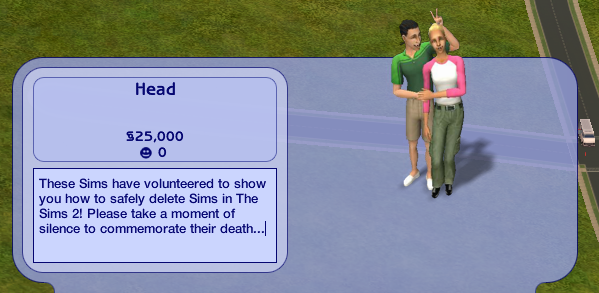 Testing cheats, The Sims Wiki