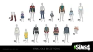 The final CAS assets chosen