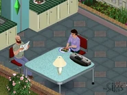 The Newbies' daily lives.