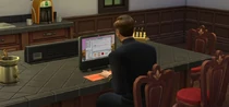 Sims4Programming
