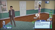 Live mode in Pets for Xbox 360.