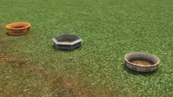 How to Garden Indoors Sims 3: Mastering Virtual Greenery
