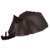 Rhinoceros Beetle