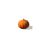 Small Pumpkin TS4