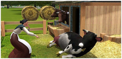 TS3 Cow and Sim