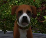 Walter Blackburn.jpg (122 KB)