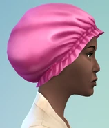 Entrega EES Gorro Bonnet.png (268 kB)