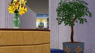 Inside Hospital - The Sims 3