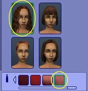 Esta barra de labios se oculta en el juego sólo se puede acceder en CAS.