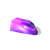 Литералит