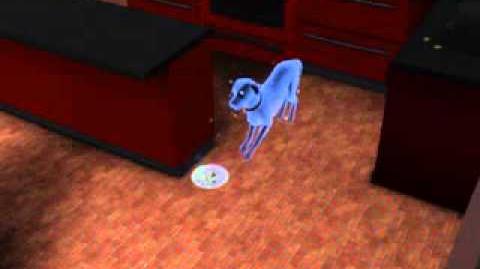 My Sims 3 ghost pet eating Ambrosia ~