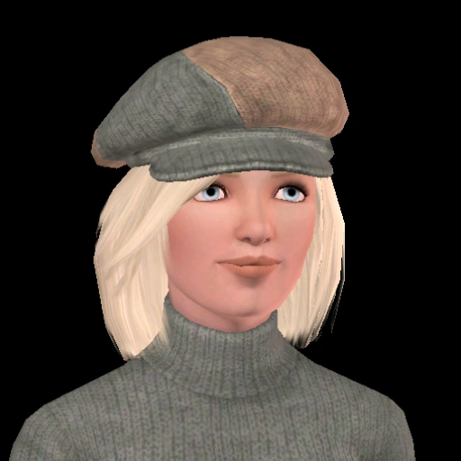 Мод валькириан скай. Skies of arcadia legends. Valkyrien warfare 1. Скай paladins 18. Скай из игры паладинс.