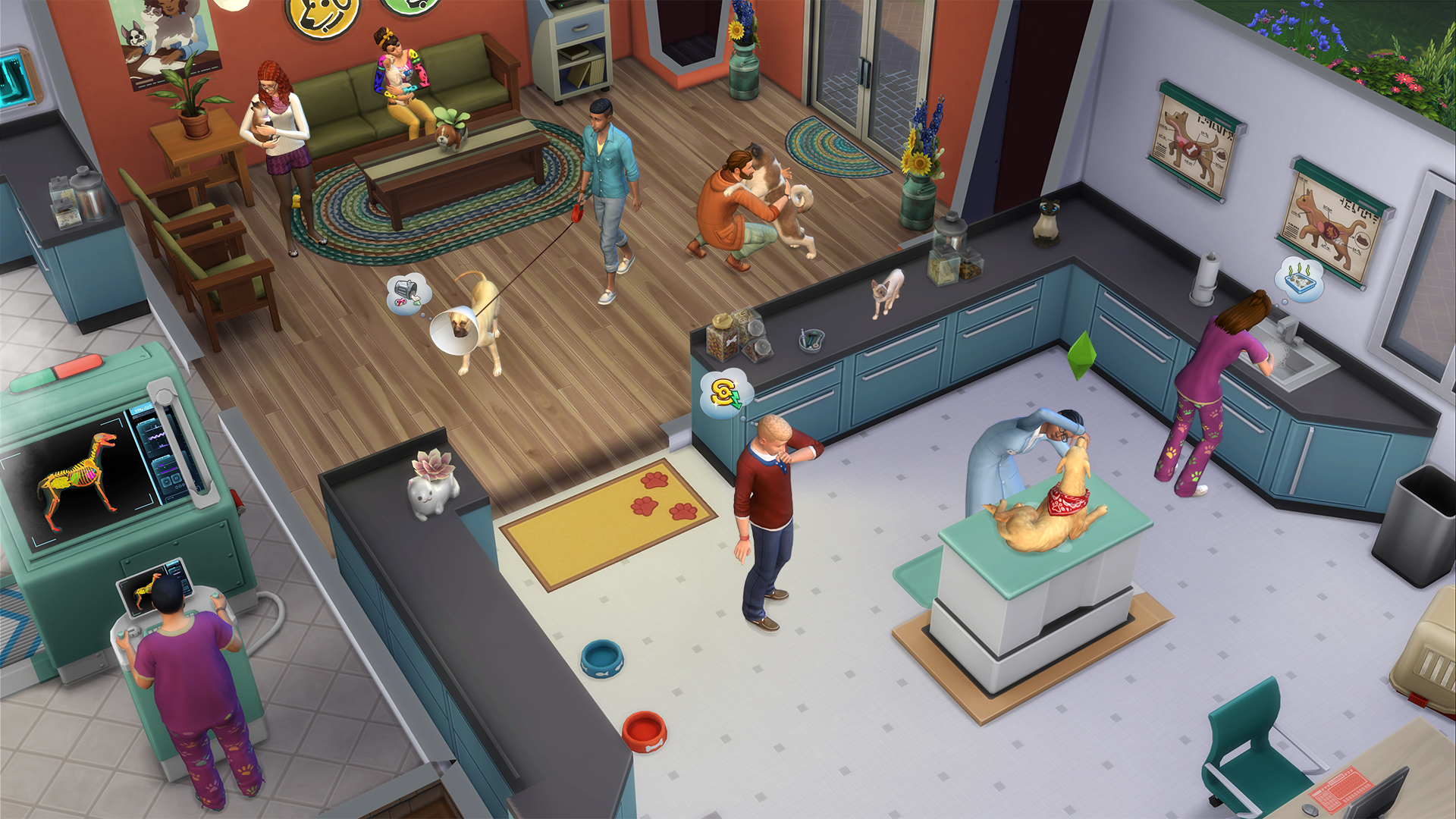 Clinique Veterinaire Simpedia Wiki Les Sims Fandom