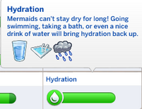 TS4 Hydration Need