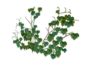 Gartenaccessoires-03-1-.jpg (119 KB)