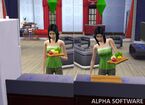 Les Sims 4 Alpha 13