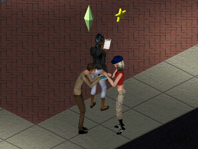 The Sims: Superstar, The Sims Wiki