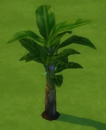 Tree of Emotions Fruit.png (297 KB) Jungle Adventures Tree of Emotions.