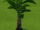 Árbol de las emociones