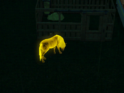 A Horse that died from Transmutation, created by a mod.