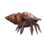 Hermit Crab