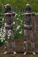 Male and Female SimBots.