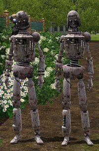 Male Female Simbots