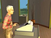 Cash Register (The Sims 2).jpg