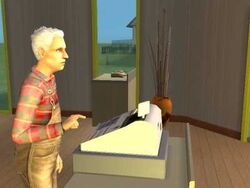 Cash Register (The Sims 2).jpg