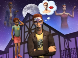 Summerdream Family