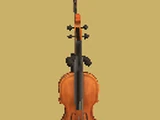 Violin