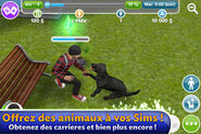 Les Sims Gratuit (iPhone) 05