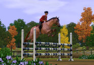 TS3Pets horse jump