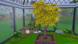 TS4 Денежное дерево в саду.png