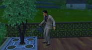 The butler Don watering plants and trees.png (2.29 MB) A tree being watered by a butler.