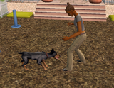Bruno and Melissa training at Playground for Precious